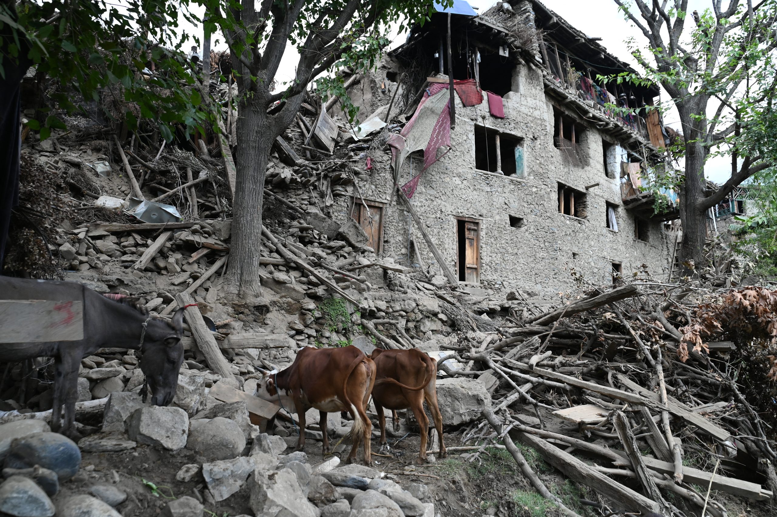 Terremoto en Afganistán deja más de 800 fallecidos y 2 mil heridos