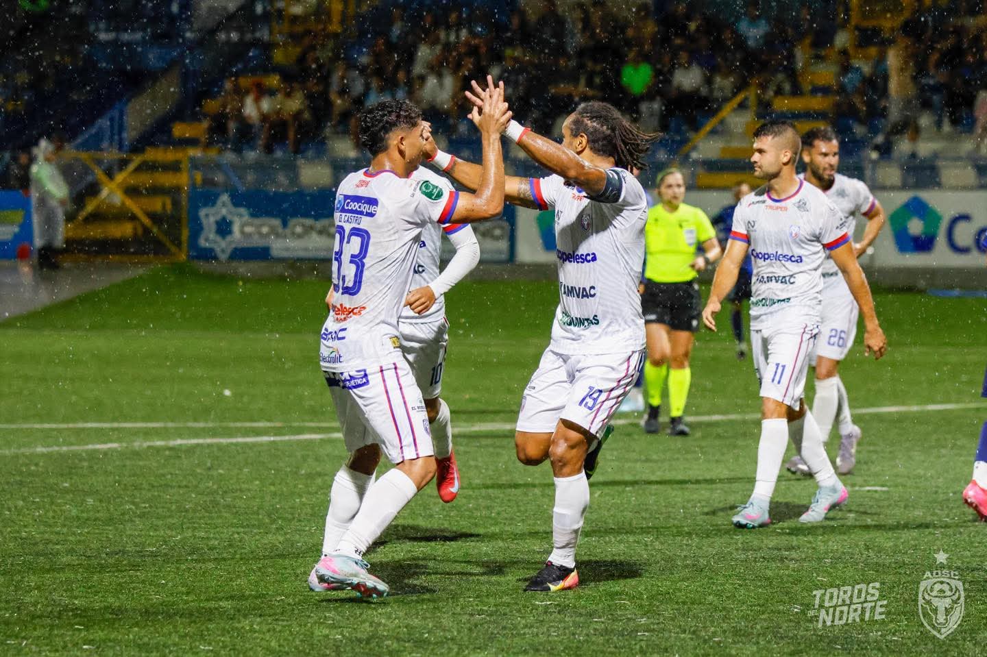 Pérez Zeledón cede tres puntos en casa ante San Carlos