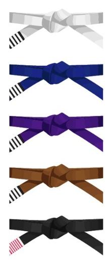 Seminario de Jiu-Jitsu brasileño con Helio “Soneca” Moreira