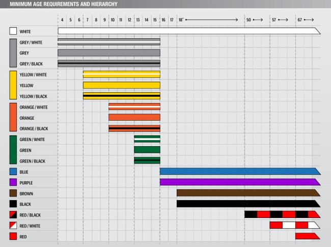 Sistema de graduación. Fuente: International Brazilian Jiu-Jitsu Federation (IBJJF)