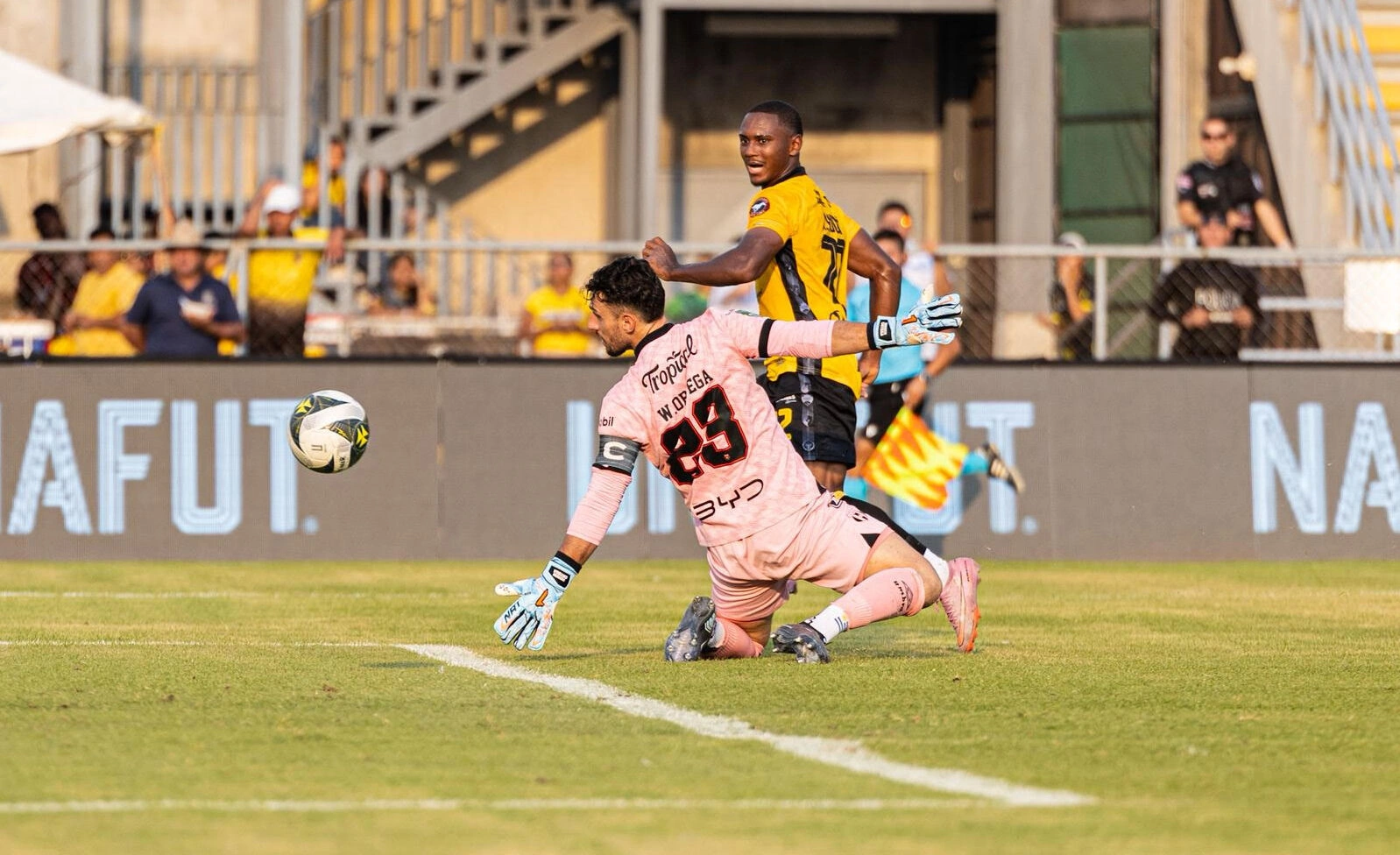 Torneo de Clausura 2026 coronará a un nuevo campeón nacional